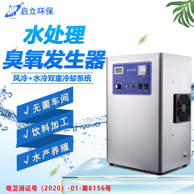 爆款启立15G饮用水处理臭氧发生器 纯净水杀菌净化臭氧消毒机泳池