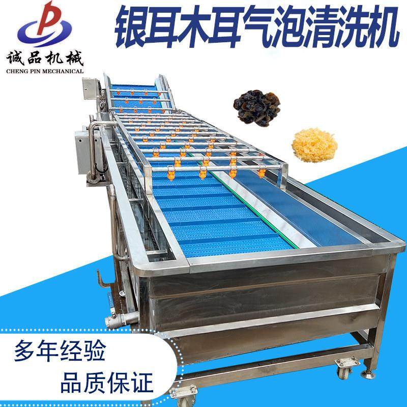 大型银耳浸泡清洗加工流线鼓泡式银耳清洗机连续式白木耳清洗机