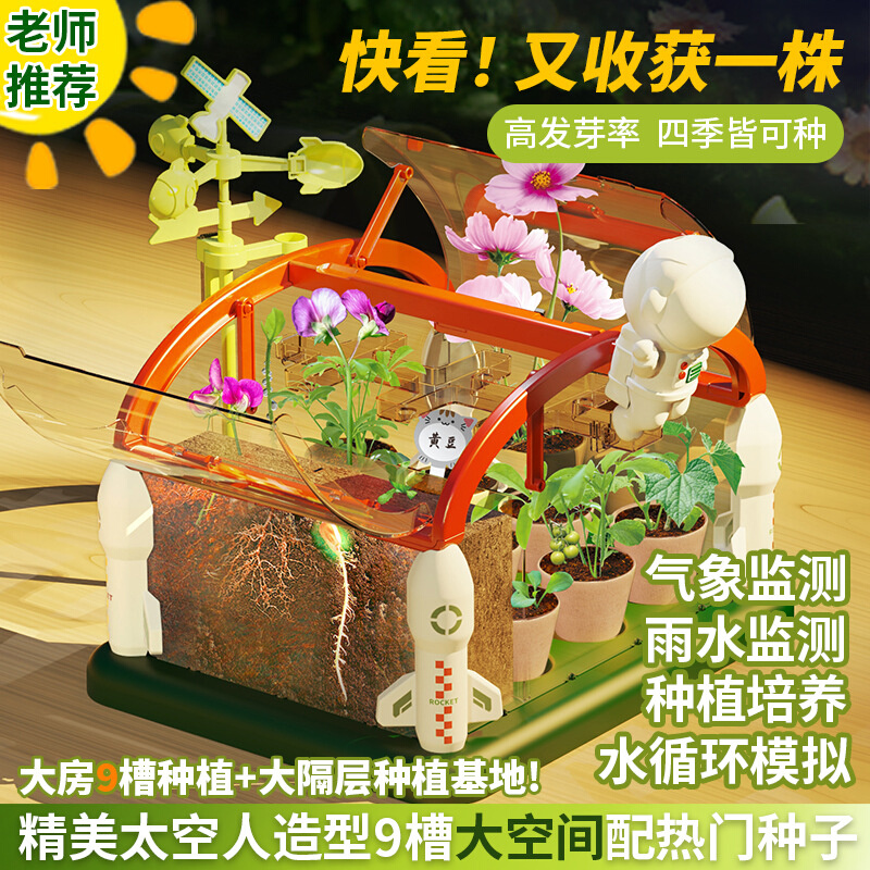 儿童阳光房种植玩具学生手工diy种菜 温度计植物观察科学实验套装