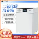 实验室恒温科技牛生物二氧化碳培养细CO2厌低氧温胞孵育箱箱微析