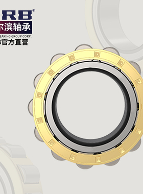 HRB哈尔滨整体偏心轴承RN307EM老代号502307尺寸35mm*68.2mm*21mm