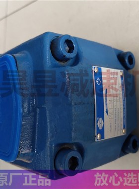 PVL1-14-F-1R-U-10 PVL1-23-F-1R-U-10 HIGHTECH高压油泵叶片泵