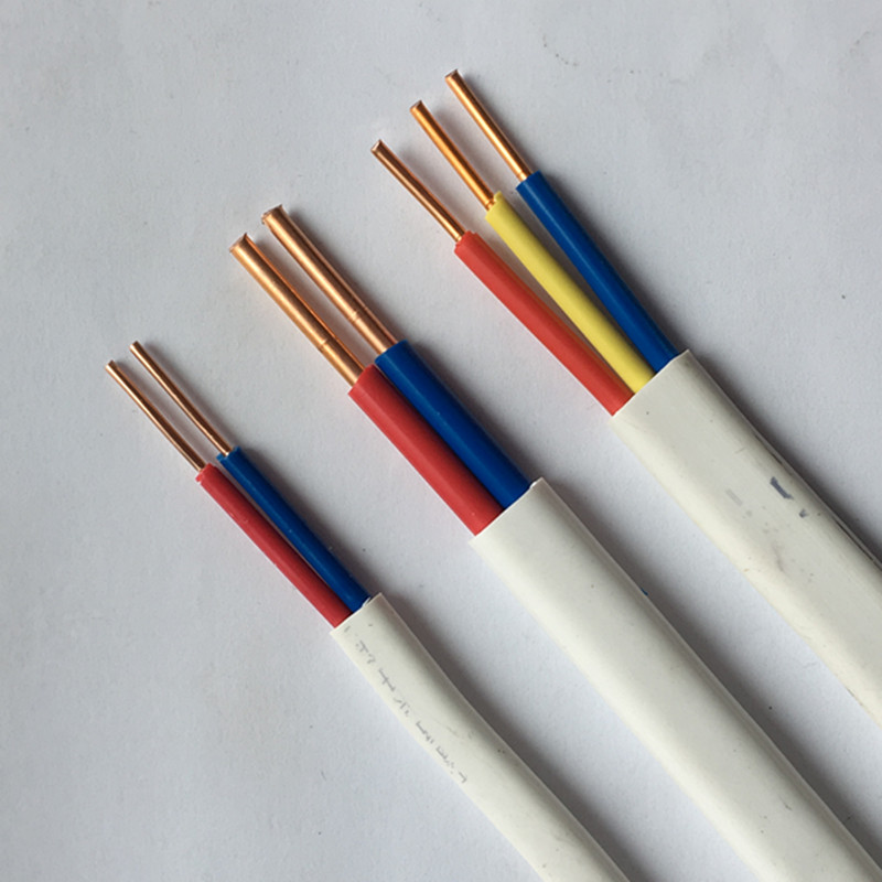 杭州中策牌电线BiVVB2*1 1.5 2.5 4 6平方护套线国标纯铜两芯硬线