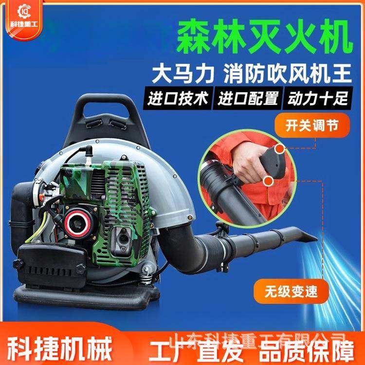 吹风机背负式四冲程道路工业用落叶清扫吹草大功率汽油大棚吹雪机,农机/农具/农膜,林业机械,淘宝优惠券,粉丝福利购,淘宝优惠卷