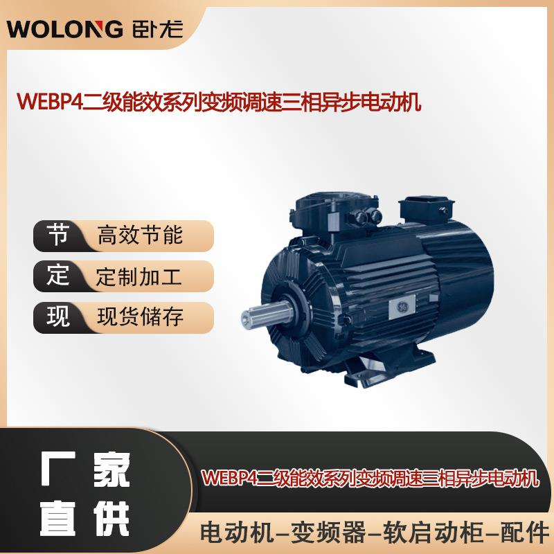 WEBP4-80M1-40.55w变频调速多相异步电机高效能电机