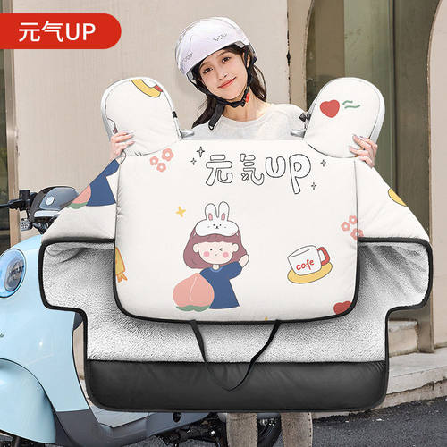 80×89cm电动车挡风被1个