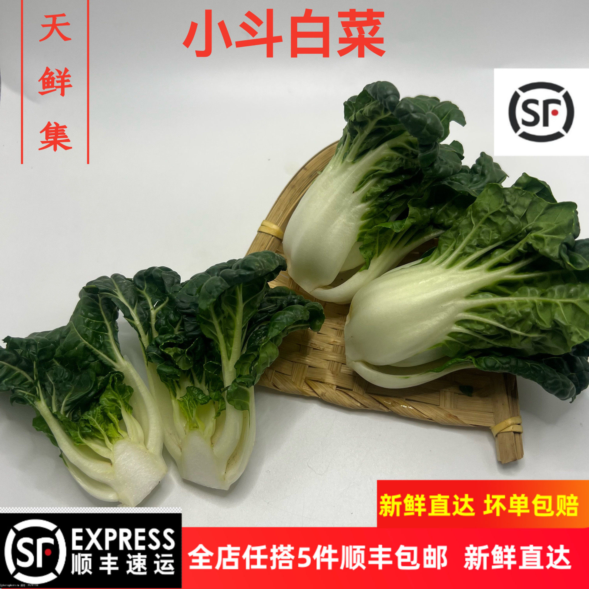 正宗宁夏供港蔬菜新鲜学斗 鹤斗白 迷你奶白菜 牛奶白菜