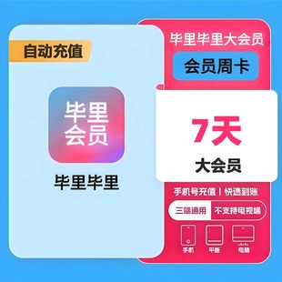 【直充】哔哩哔哩大会员周卡VIP7天30天动漫云视听小电视bilibili