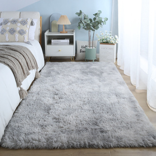 客厅卧室地毯床边毯ins风冬季 2023新款 天加厚长毛绒少女房间脚垫