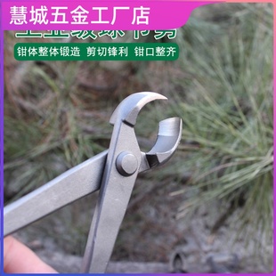 盆景工具球节剪日本球形树瘤球节钳盆景树枝修剪钳专业平口胡桃钳
