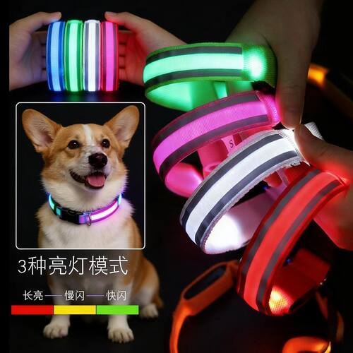 宠物夜间防丢可充电发光项圈
