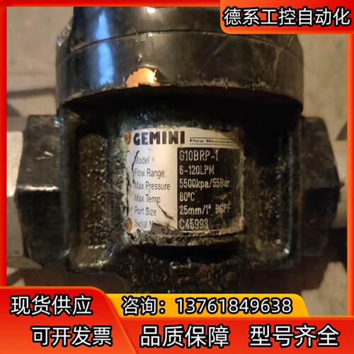 GEMINI 流量泵