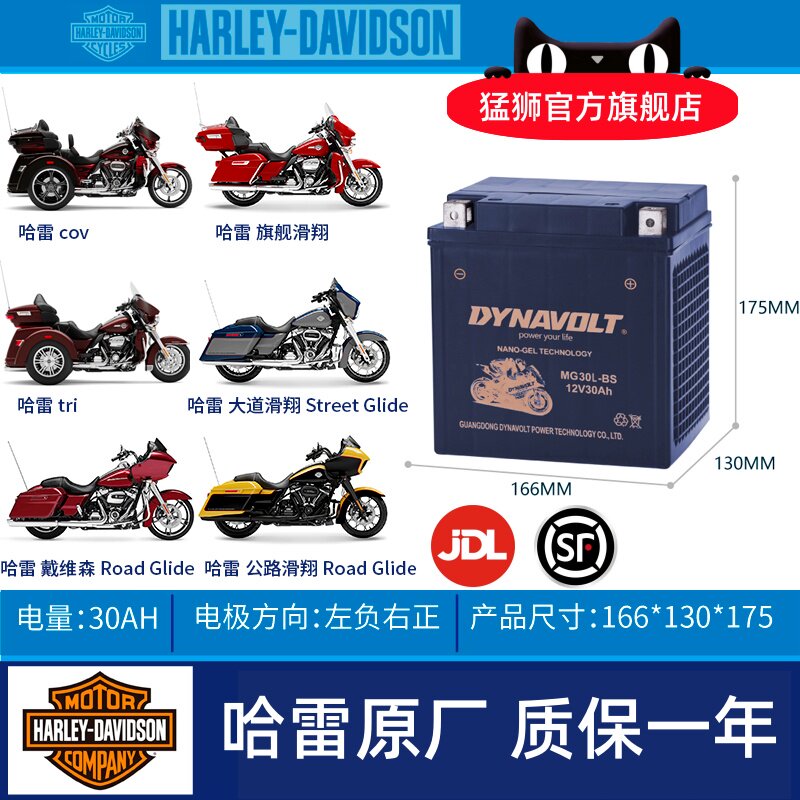 哈雷正三轮路王大滑翔宝马电瓶