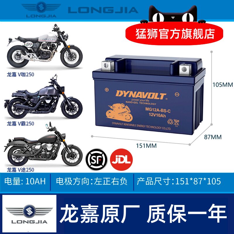 龙嘉V咖250iVMAX300ie电瓶