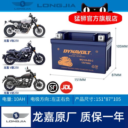 龙嘉V咖250iVMAX300ie电瓶
