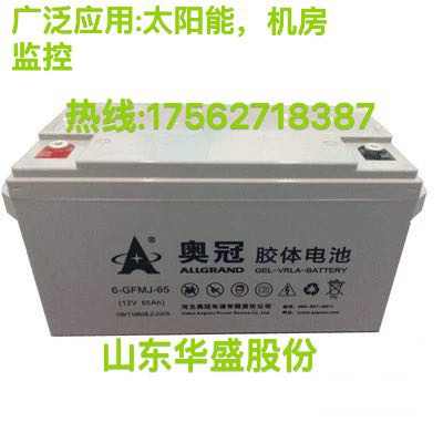 奥冠胶体蓄电池6-GFMJ-12V7a17a24a38a65a100a120a150a200ah-封面