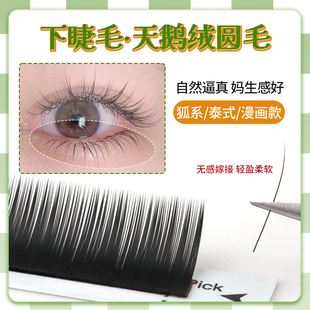 单根圆毛下睫毛0.10天鹅绒BCD自然哑光柔软轻盈无感嫁接J翘美睫店