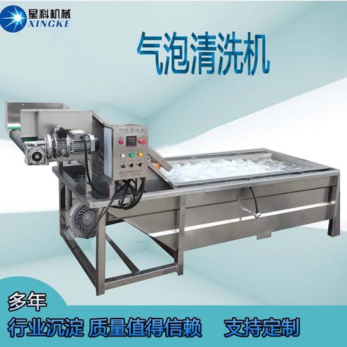 多功能全自动果蔬蔬菜清洗机 气泡式喷淋豆角清洗机 洗菜机设备