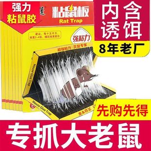 粘鼠板强力老鼠粘强力胶粘大老鼠贴家用厨房捕鼠神器加大专业正品