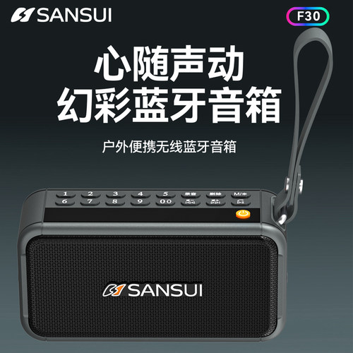 山水F30全新蓝牙便携AUX广场舞户外太极音箱组合音响大功率