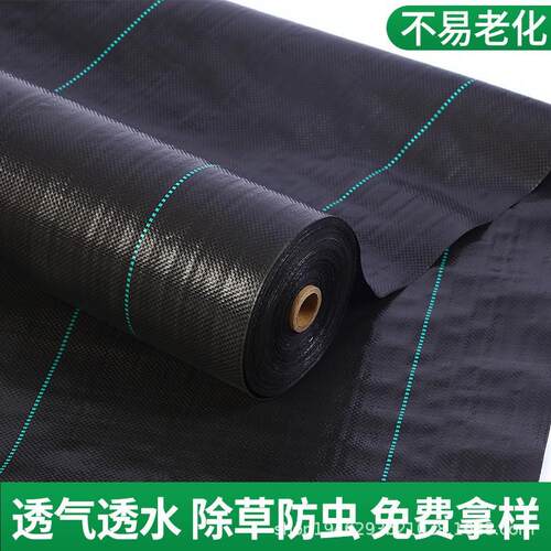 防草布农用园艺除草地布果树园林透气保湿编织布耐老化抑草防草布