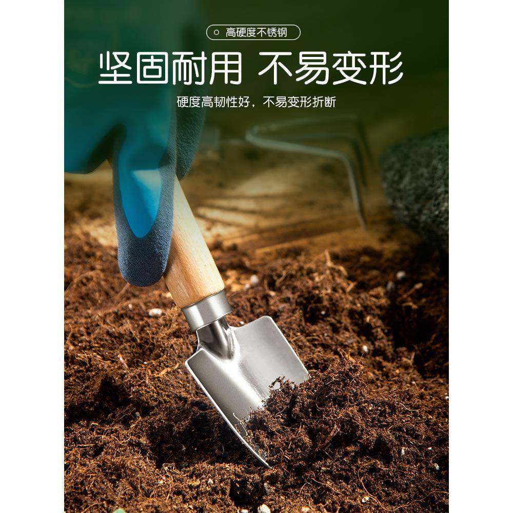 不锈钢小铲子花铲挖土耙子园艺工具松土赶海种菜种花养花徐萍,鲜花速递/花卉仿真/绿植园艺,园艺用品套装,淘宝优惠券,粉丝福利购,淘宝优惠卷