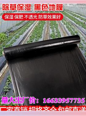 L5HM黑色地膜农用种菜园保温保湿防长果树种植农田除塑料胶布