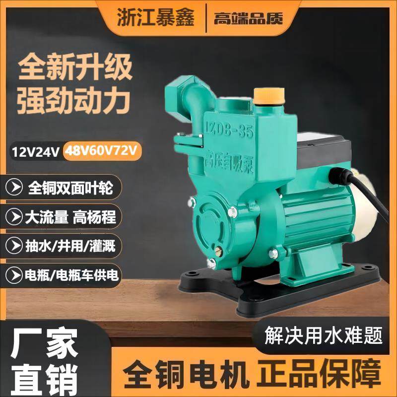 家用直流自吸泵12V24V48V60V抽水泵电动车农用船用水井浇菜高压泵