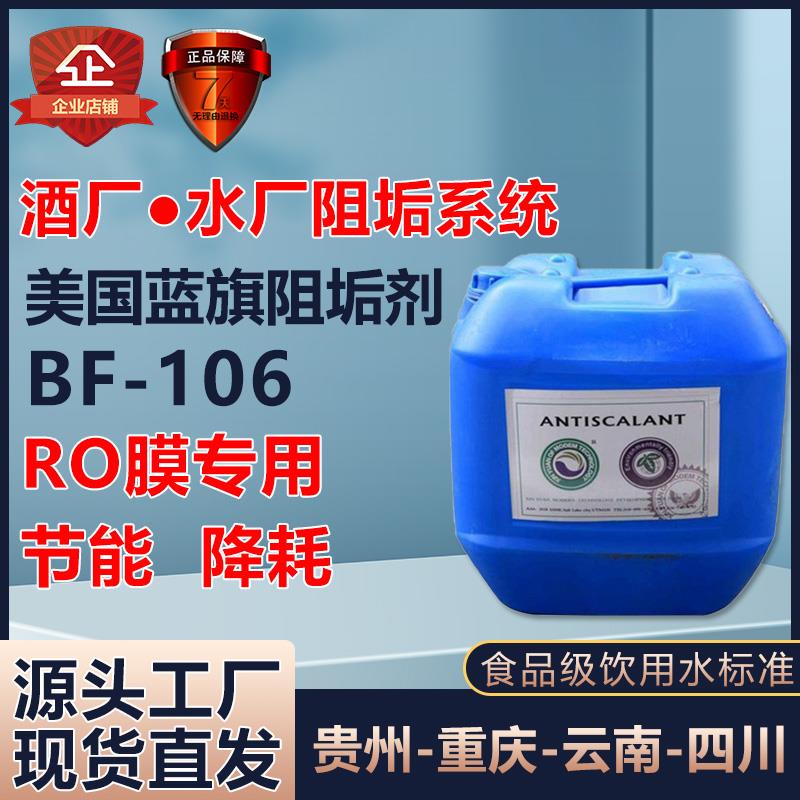 蓝旗反渗透阻垢剂食品级BFP-0100工业净水设备RO膜缓蚀除垢清洗剂