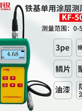 高精度涂层测厚仪油漆镀锌漆膜鳞片防火涂料防腐3PE大量程漆膜仪