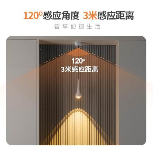 人感应小吊体灯单头入户门玄关水滴长小线 灯HQ-AD217缐卧室床头