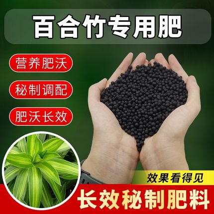 百合竹专用肥料盆栽绿植金边金心百合竹肥料盆景有机肥四季颗粒肥