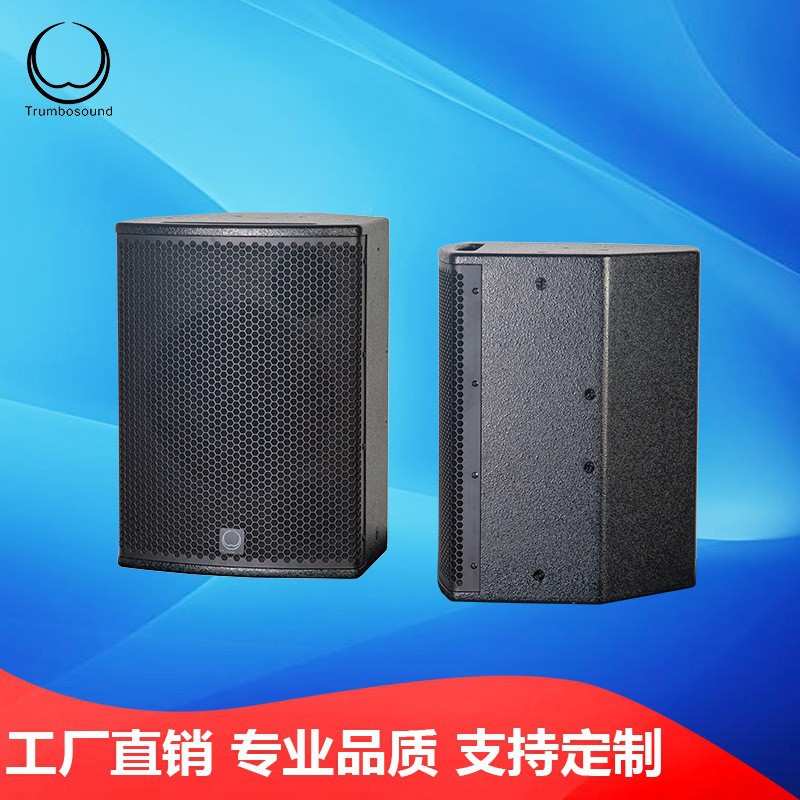 舞台15寸同轴影K音箱酒吧返听音箱专业音响礼堂报告厅返听