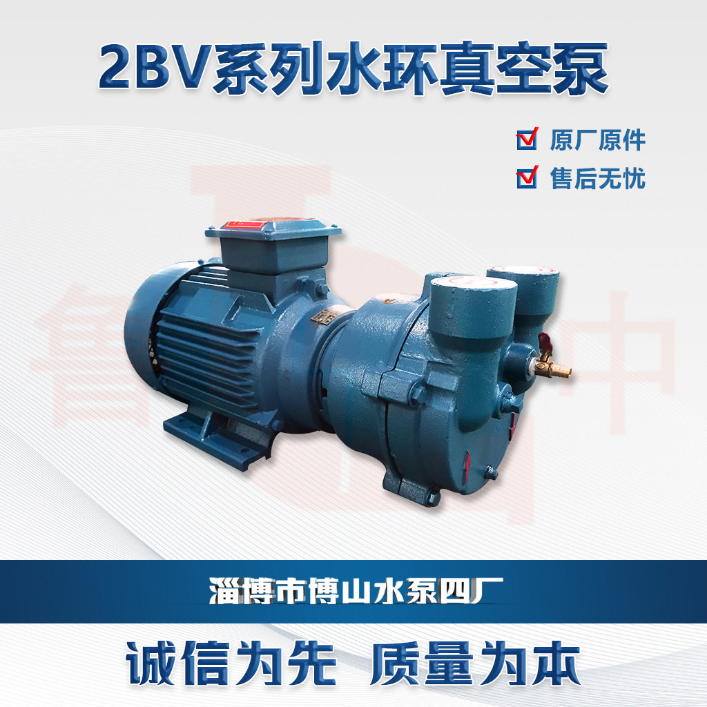 2BV6121型液环式真空泵防爆电机不锈钢真空泵球铁叶轮真空泵