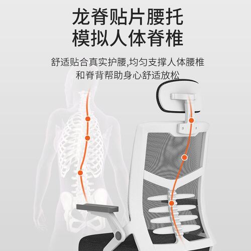 电脑椅子久坐家用办公椅舒适学生椅宿舍电竞椅转椅靠背凳升降椅子