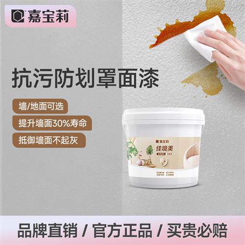 罩面漆室内艺术墙面乳胶漆保护漆防水透明水性哑光自刷油漆