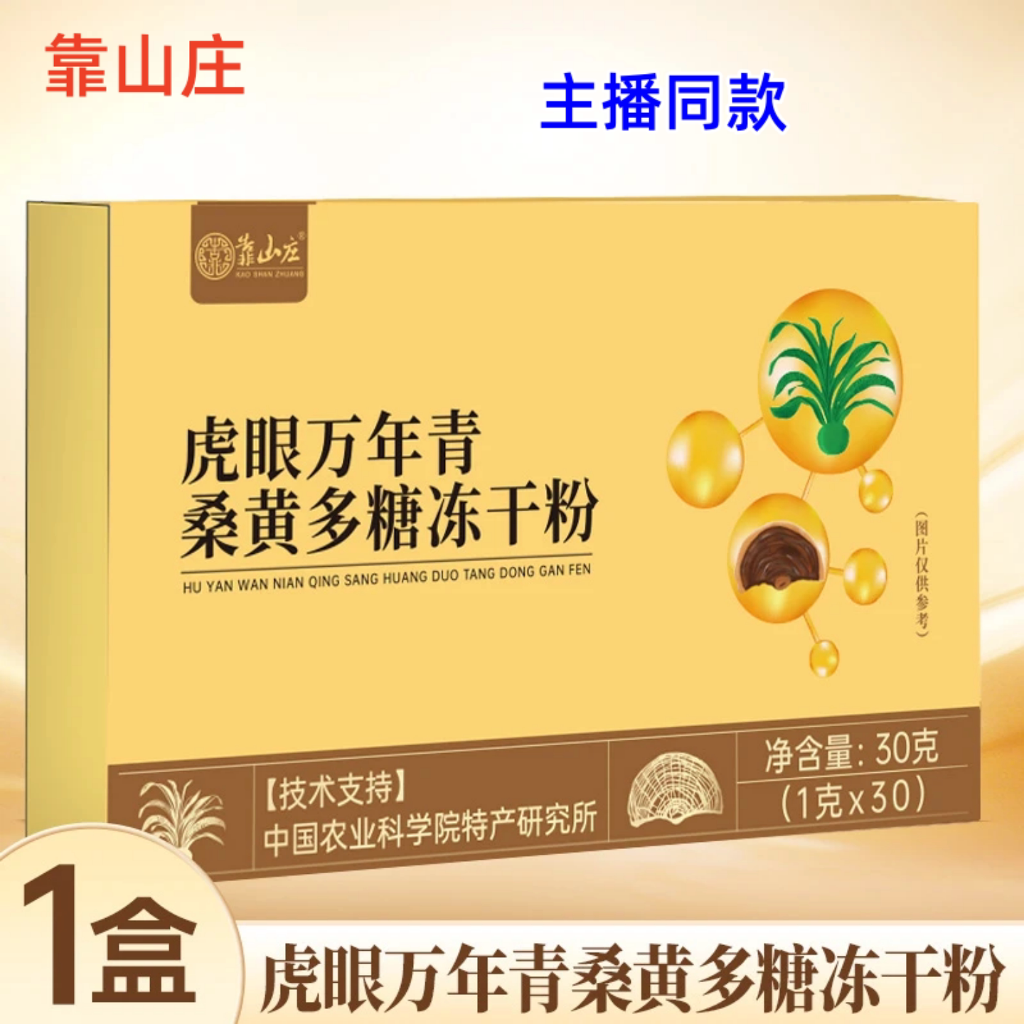 靠山庄虎眼万年青桑黄冻干粉