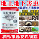 联苯噻虫胺撒施型防虫颗粒剂蔬菜地上地下害虫跳甲通用杀虫剂正品