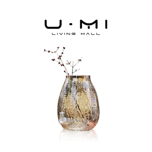 轻奢简约冰裂玻璃花瓶插花摆件客厅装 LIVING 冰花 饰品