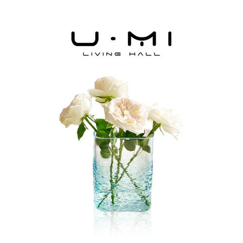U Mi LIVING · 流逝 |花瓶ins风透明玻璃花瓶水养鲜花摆件插花器