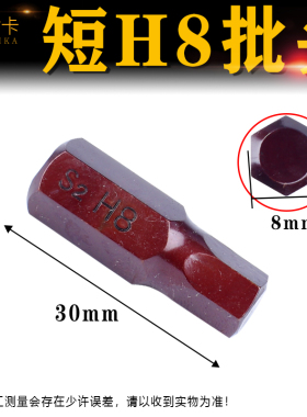S2六角梅花电动批头10mm柄汽保花型撞批旋具头T20T30T45T40T50T55