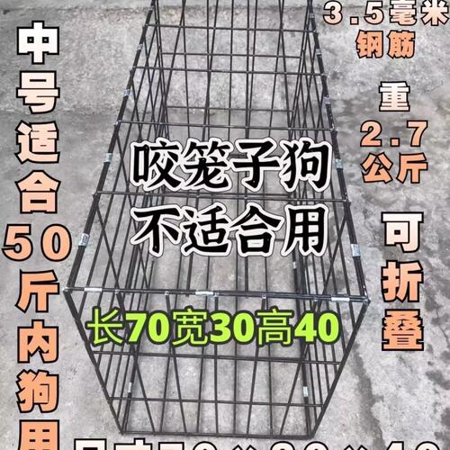 一次性土狗杂斗猎犬托运