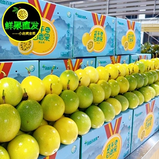 钦蜜9号黄金百香果果园直供采摘武平当季孕妇水果特果礼盒装可选