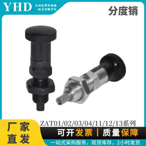 分度销ZAT01/0234-M6怡