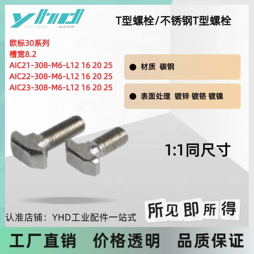 不锈钢T型螺栓AIC21-308-