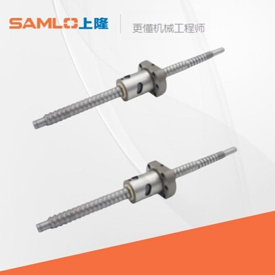 上隆原装普通级滚珠丝杠BTWE1204/1210-L150~800-T15~24-R-Y-B