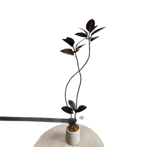 异型树橡皮树盆栽室内室外 仿真绿植盆栽办公桌四季绿植花装饰