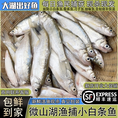 微山湖新鲜小白条鱼净膛宰杀顺丰
