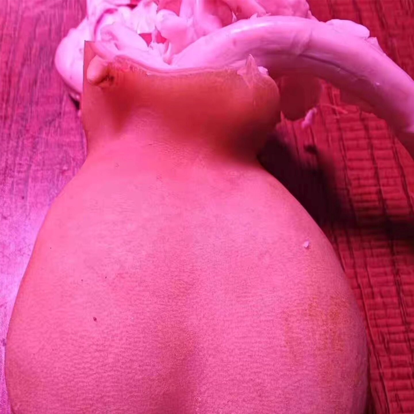 贵州散养山羊蛋新鲜现杀羊宝羊睾丸内羊外腰羊腰子烧烤羊蛋羊卵蛋