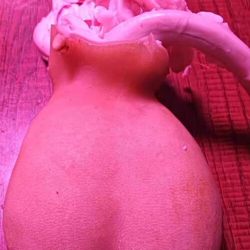 贵州散养山羊蛋新鲜现杀羊宝羊睾丸内羊外腰羊腰子烧烤羊蛋羊卵蛋